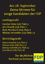 Deine Stimme für Junge Kandidaten der FDP